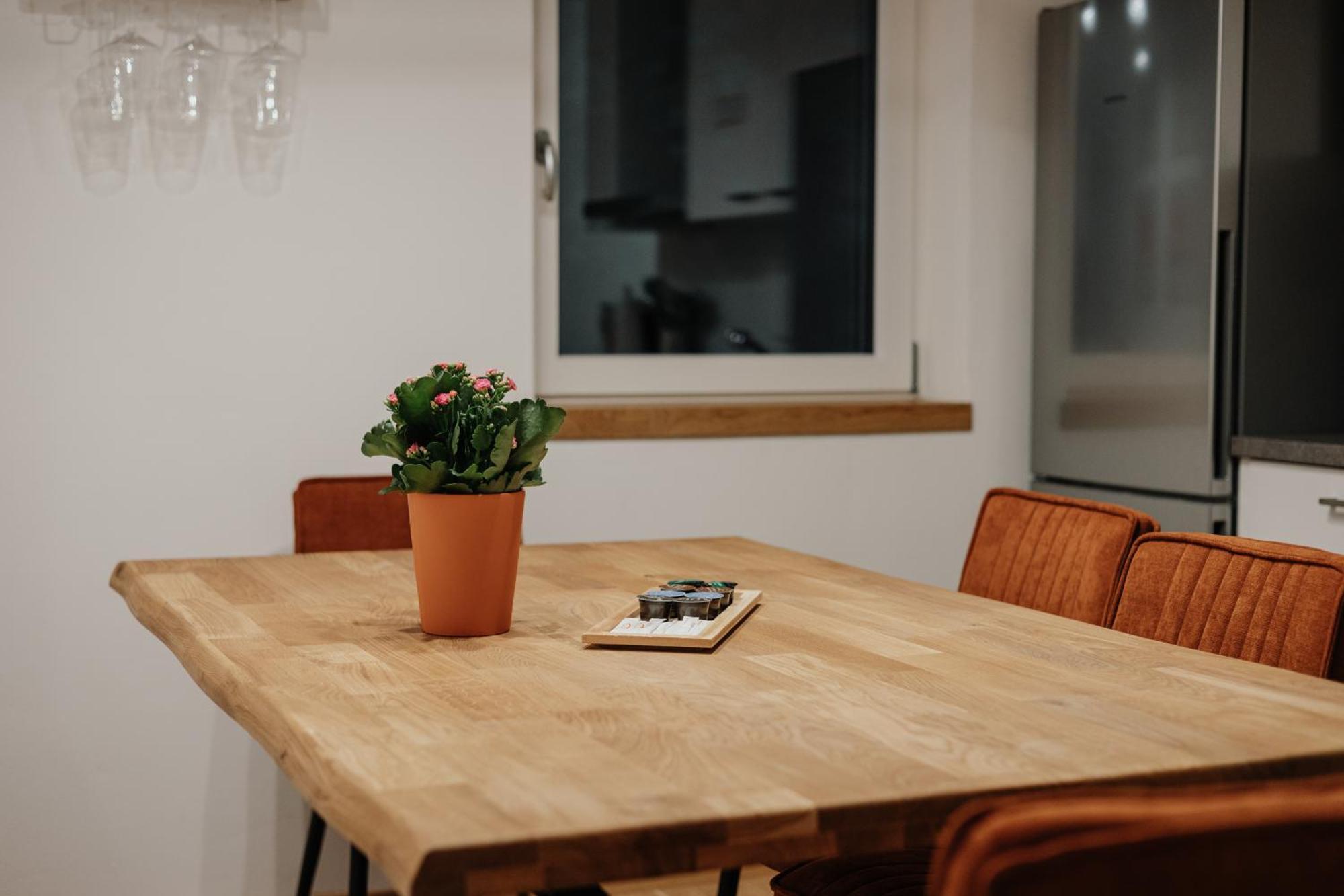 Passaus Motto Appartements! Solo - Paerchen - Familien - Gruppen Zimmer foto