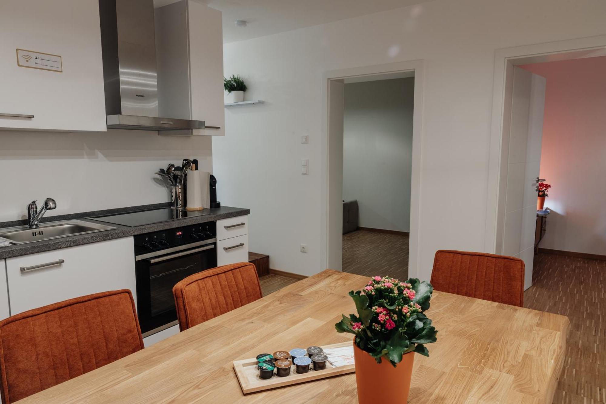 Passaus Motto Appartements! Solo - Paerchen - Familien - Gruppen Zimmer foto